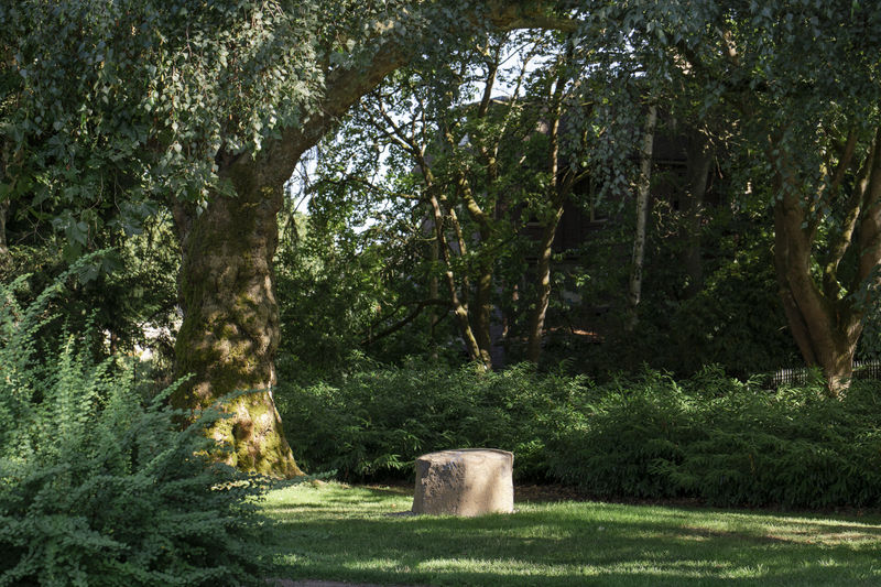 Installation view: Chloë Bass: Soft Services, Henry Art Gallery, University of Washington, Seattle, WA, 2022. Photo: Jueqian Fang