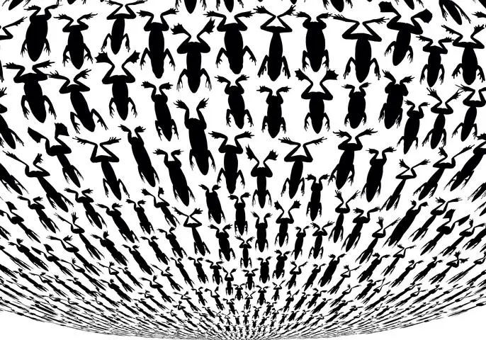 Regina Silveira, "Amphibia" (detail), 2013.