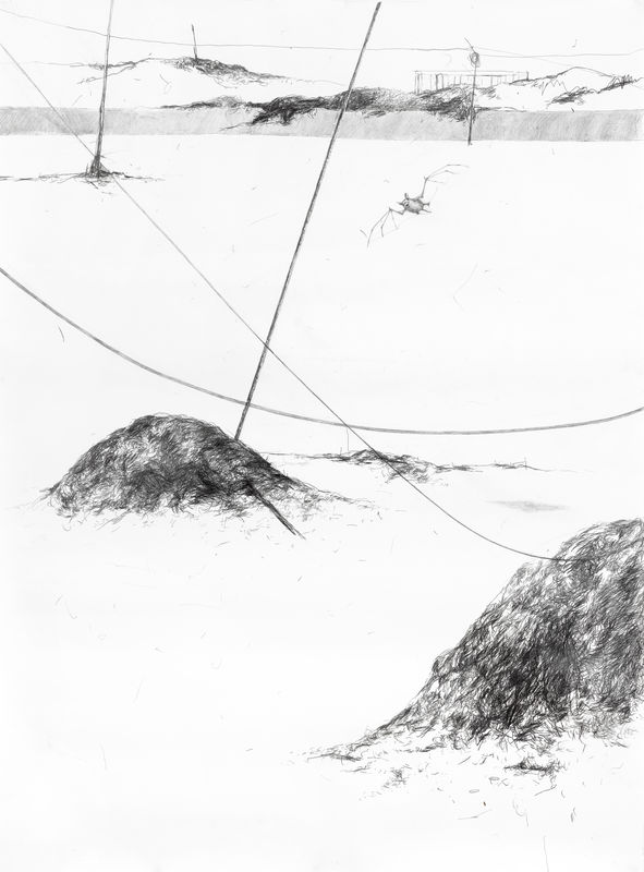 «Травма и перерождение»