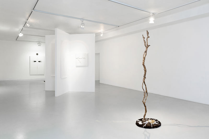 Мира течение, Денис Патракеев