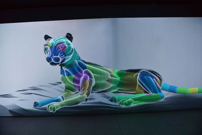 Insectum, Maxim Svishev