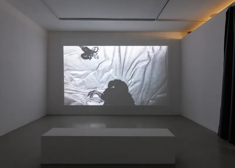 Что смотреть на выставке «Травма и перерождение» в Anna Nova