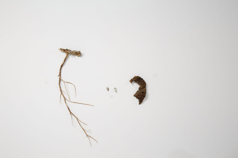 Илья Федотов-Фёдоров: «Шаблон в искусстве — это смерть»