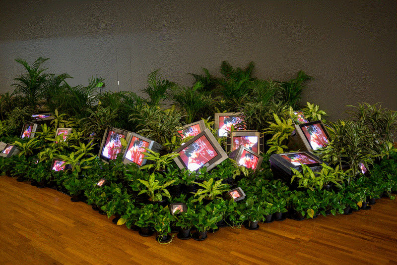 Позаботься обо мне, куратор: свобода, кураторство и сапрофитство в проекте Ильи Крончева-Иванова