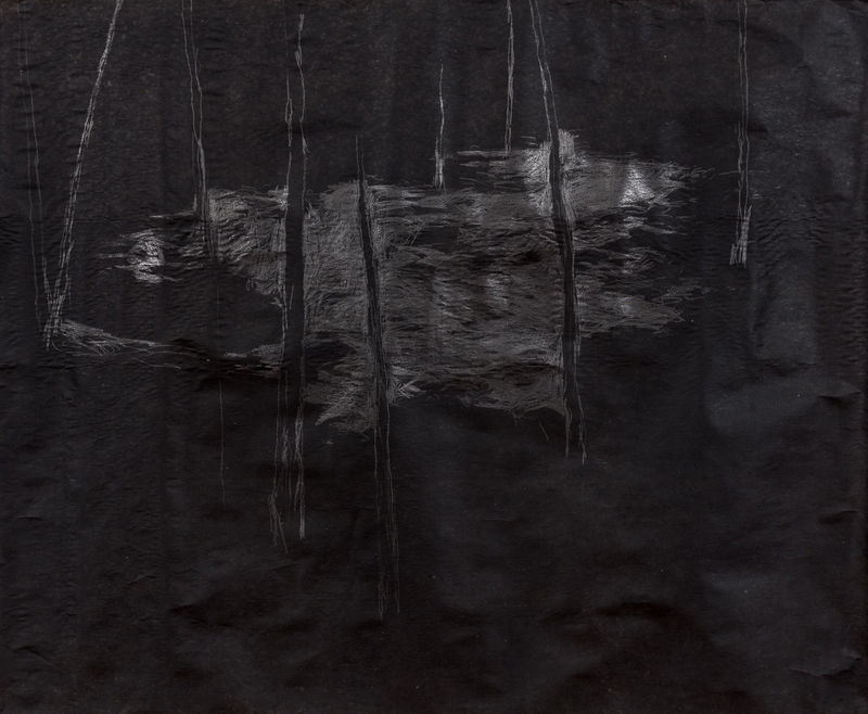 Наруто, темная экология и Куросава: Из чего состоит выставка художницы Александры Гарт «Лес паутины»?