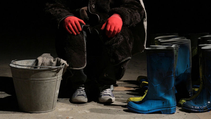 Хаим Сокол: «Я настаиваю на поэтическом измерении истории»