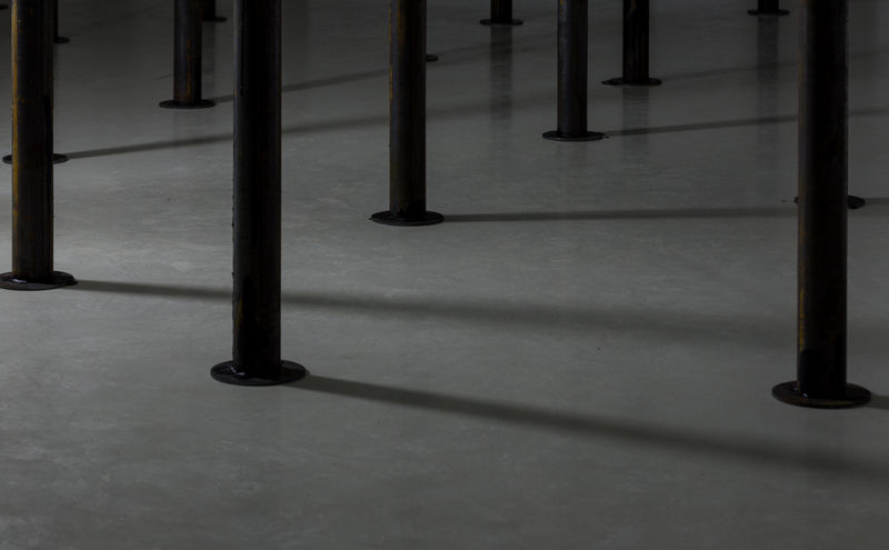 Спрятанное в лесу: эстетика темной экологии. Как вернуть подлинность ускользающим от взгляда вещам?