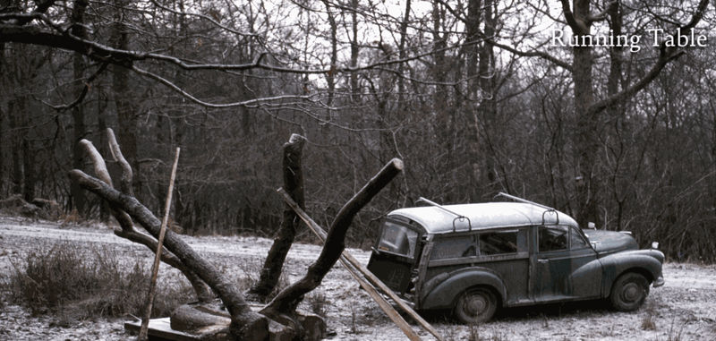 David Nash, Running Table, Grizedale 1978