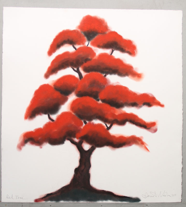 David Nash: Full Circle