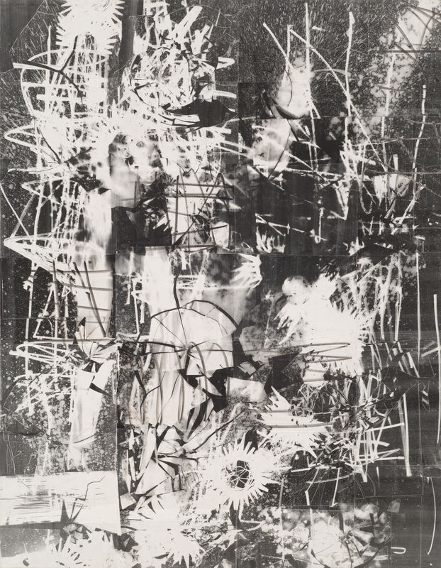 TILLMAN KAISER - IM DOM