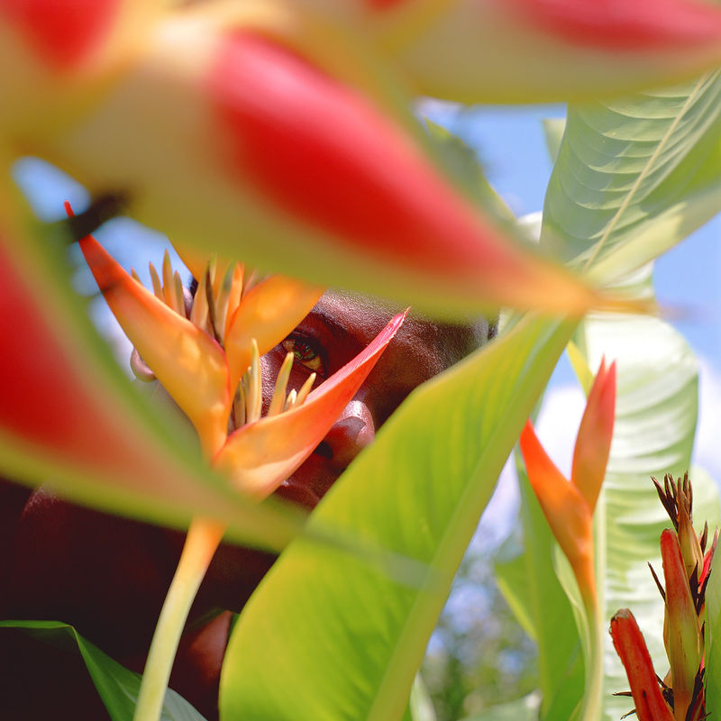 Isaac Julien, Omeros - The Sea is History (Homage to Derek Walcott), 2002/2018