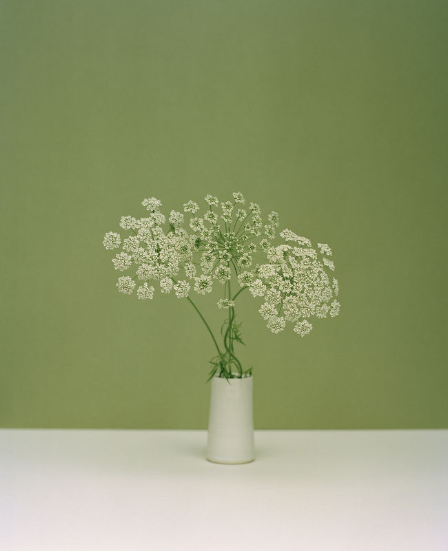 Country Life | Kate Friend