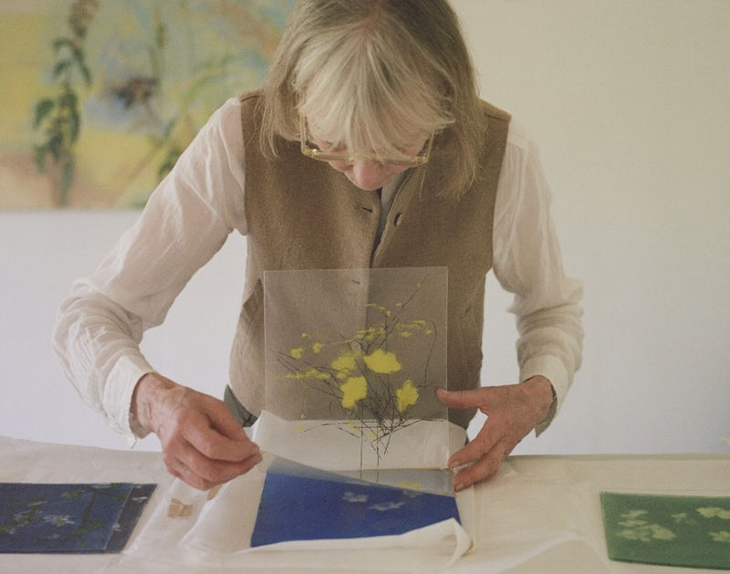 The Glassy Knoll, Charlotte Verity