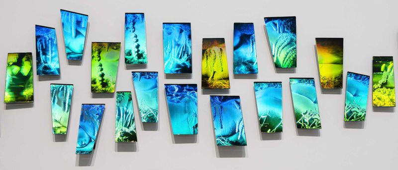 Sarah Meyohas Interference #18, 2023. Image courtesy of Marianne Boesky Gallery (Image credit: Courtesy of artist)