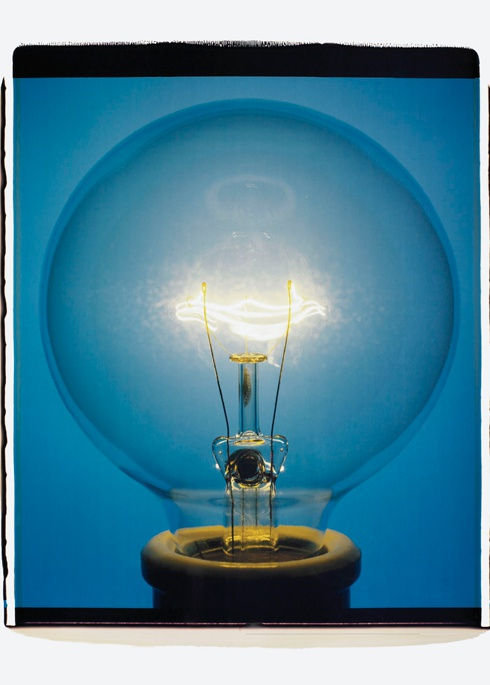 In Focus | Amanda Means