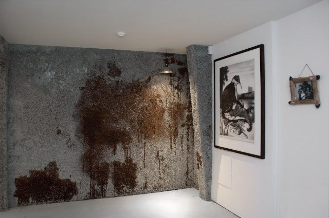 November 2010, Interview with Alice Hope