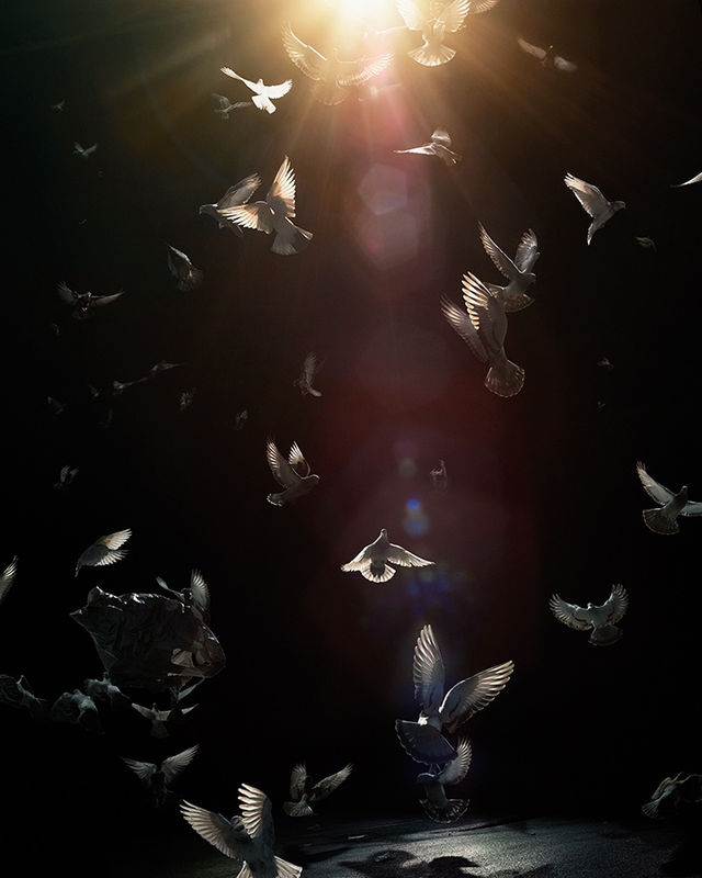 Simen Johan at the University of Arkansas at Little Rock