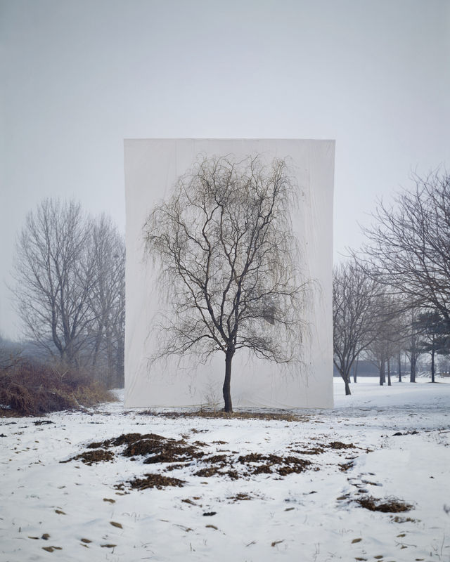 Myoung Ho Lee at GoEun Museum of Photography