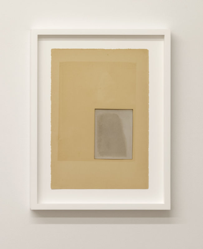 Alison Rossiter at the Bodleian Libraries