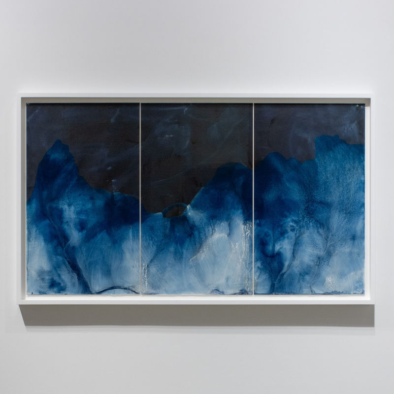 Museum of Fine Arts Boston Acquires work by Meghann Riepenhoff