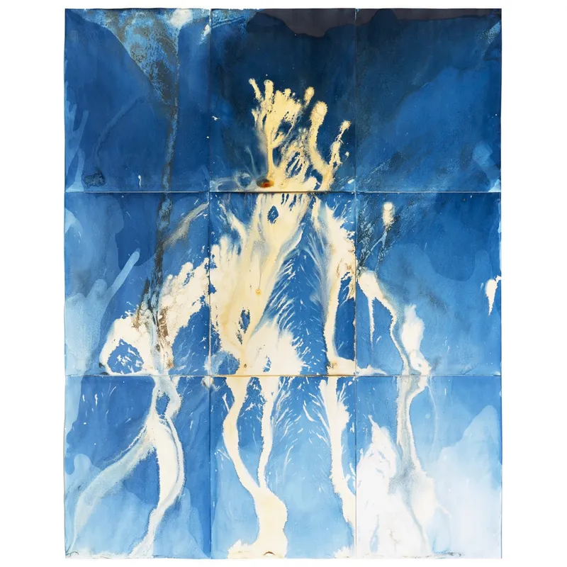 Meghann Riepenhoff (American, b. 1979) Adaptive Radiation #1 (Hanford Reach, Washington, USA, 5.23.2025, River Water, Reference Woman, Reducing Agent), 2025 Dynamic Cyanotype Unique