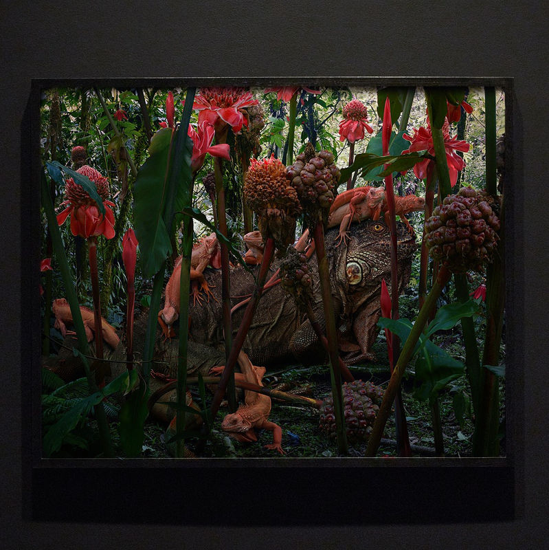 Installation View | Simen Johan: Conspiracy of Ravens Featured Artwork: Simen Johan (Norwegian, b. 1973) Untitled #198, 2019 Inkjet Print Image: 30" x 37 1/2" (76 x 95.5 cm) Framed: 31 1/8" x 38 5/8" (79 x 98 cm) Edition of 5 plus 2 artist's proofs