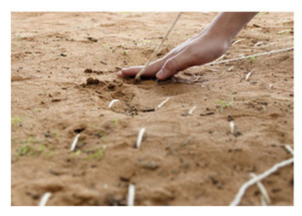 Maria Laet no IAC - França