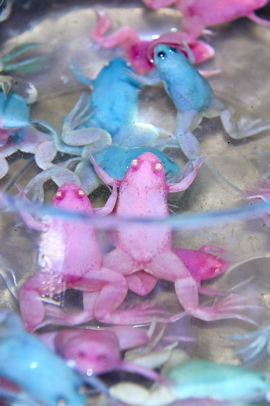 ARTYOU 6/6 – Nici Jost, 6 artists from the region show an insight into contemporary work presentations within 6 weeks.