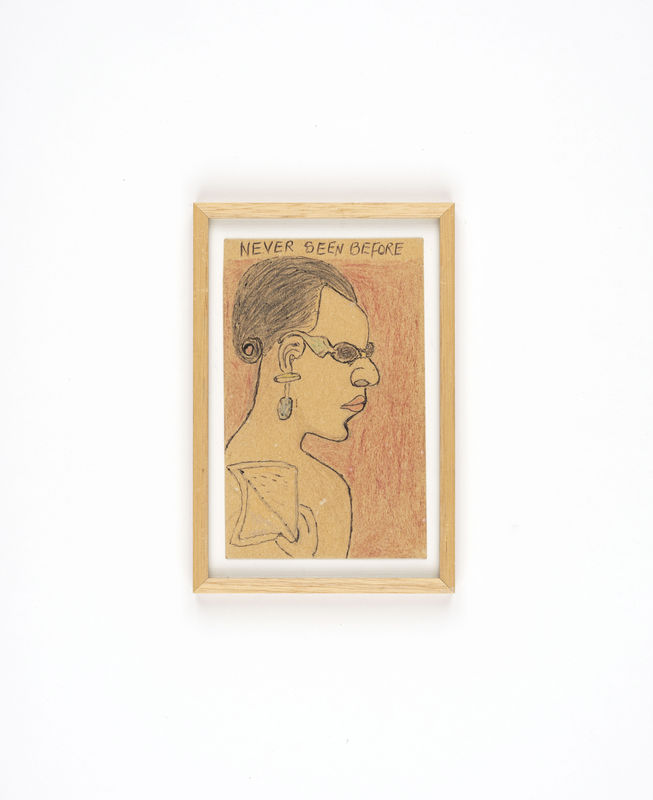 Frédéric Bruly Bouabré, On ne compte pas les étoiles