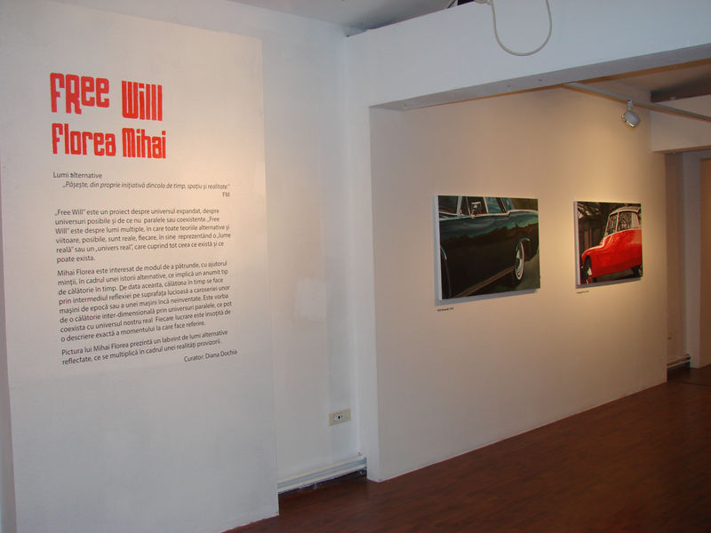 MIHAI FLOREA: FREE WILL