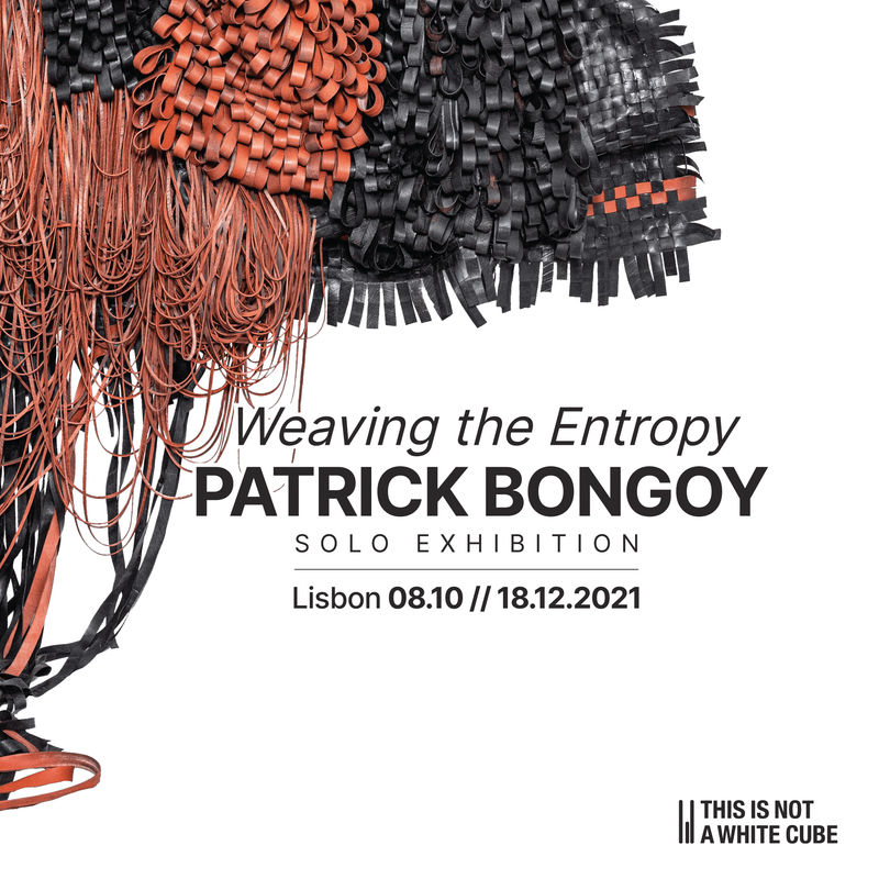 Weaving The Entropy, Solo Show: Patrick Bongoy