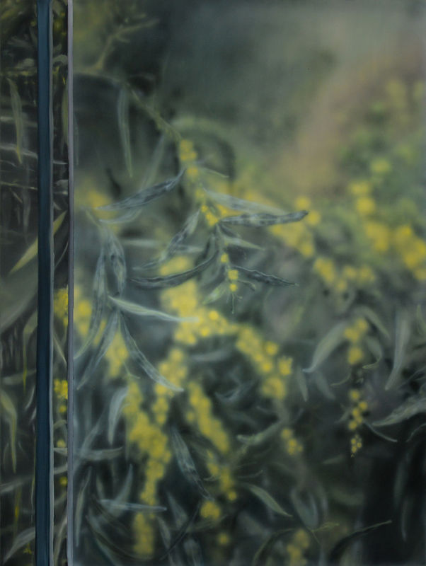 Flying in a silver plane, Solo Show by Tom Solty