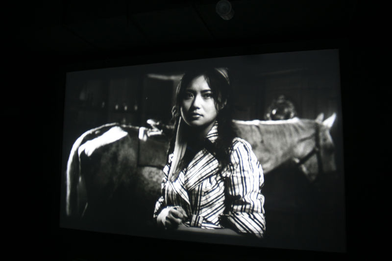 杨福东的美学天堂 Yang Fudong's Aesthetic Paradise, Jeanne Boden