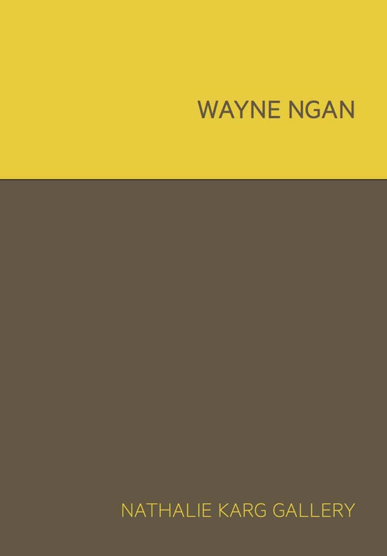 Wayne Ngan, WAYNE NGAN