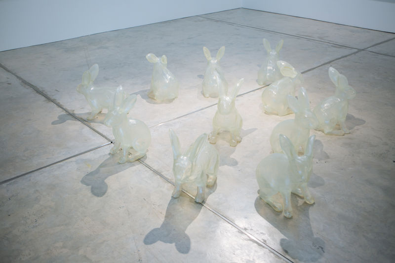 A New Interpretation of the Paradoxical World, Narissara Pianwimungsa