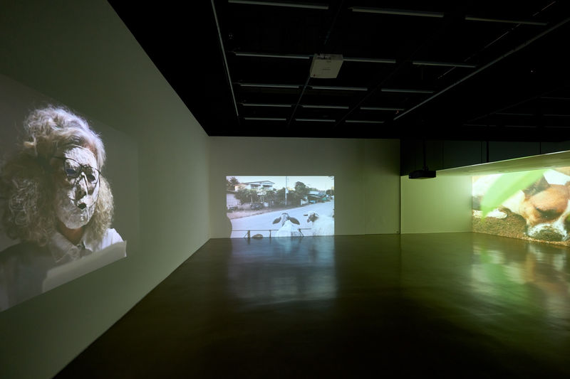 THREE STORIES FROM BAN WANG HMA (DOG’S PALATIAL HOUSE)