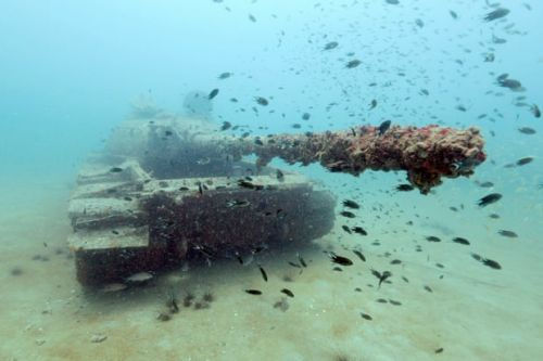 Asia Pacific Triennial: an exhibition of immense scope capturing a troubled world