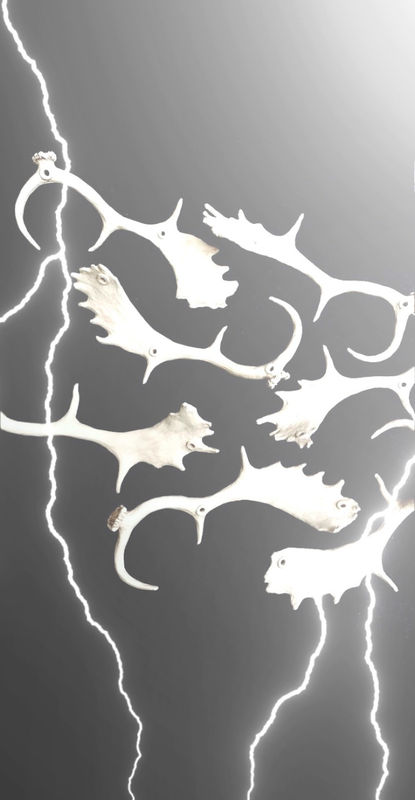 LA FORCE DANS L’OMBRE, Juliette Feck (F) | Sophie le Meillour (F) / Julie Semoroz