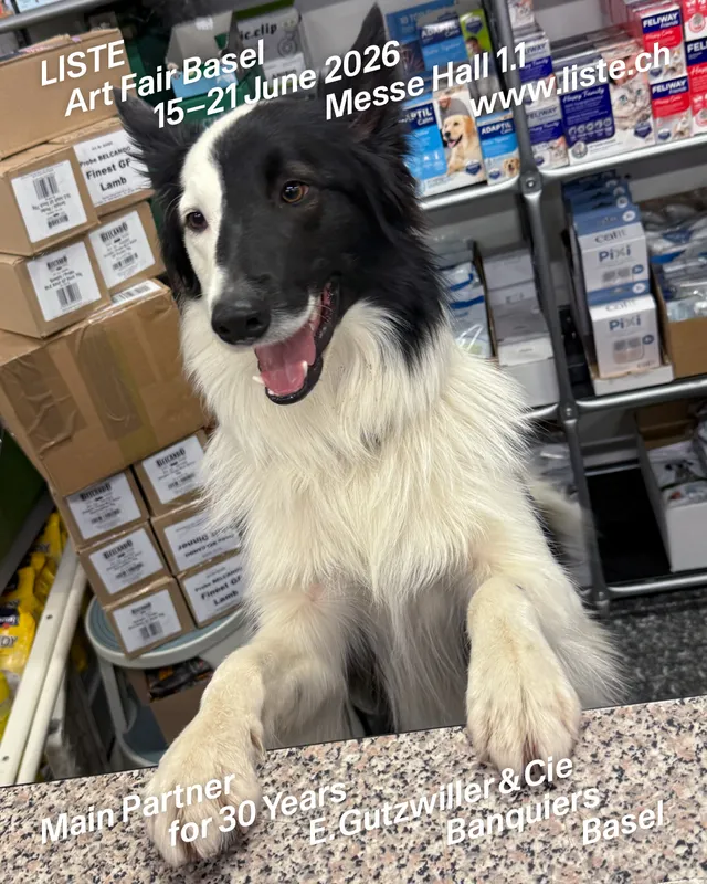 Liste Basel | 15 - 21 June 2026