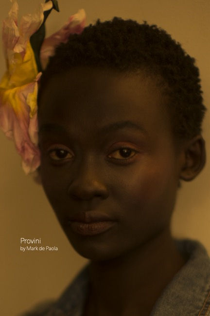 Provini, Leica DC Exhibition Catalog