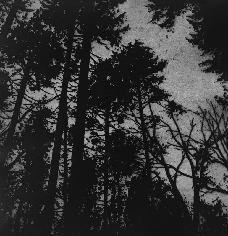 Blaze Cyan, Dark Falls, etching