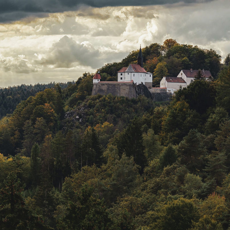 Tove Mauritzson | Bestia et Anima