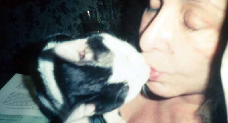 Detail of Carolee Schneemann, Infinity Kisses I (Cluny), 1981-1987, Photocopy on archival paper, 65 self-shot panels, each: 8 x 10 in