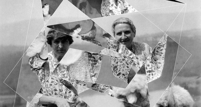 Detail of Andrea Geyer, Constellations (Alice B. Toklas and Gertrude Stein with Pepe and Basket), 2018, Hand-cut archival print on rag paper, 98.7 x 66 cm, 38 7/8 x 26 in, Framed: 101.2 x 68.5 cm, 39 7/8 x 27 in