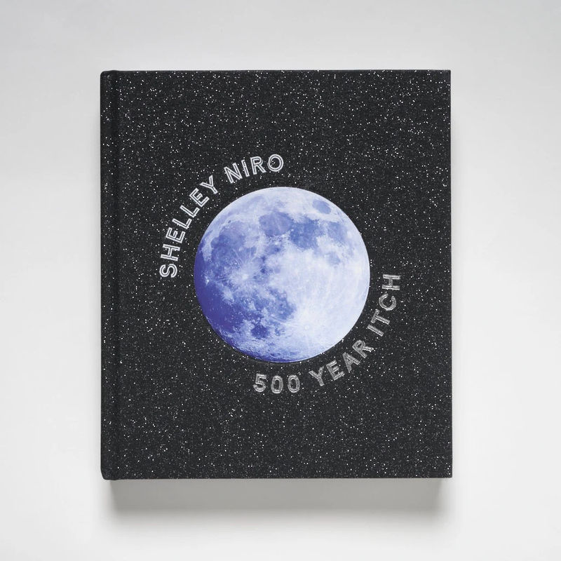 Shelley Niro, Shelley Niro: 500 Year Itch