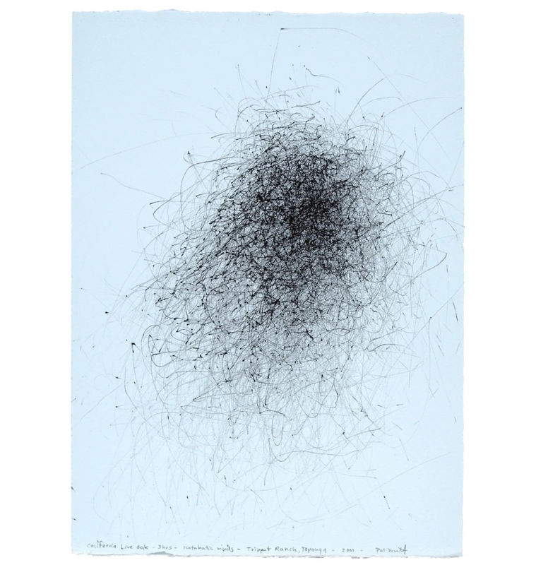 Pat Pickett,CALIFORNIA LIVE OAK - 3 HRS - KATOBATIC WINDS - TRIPPET RANCH, TOPANGA, 2001, Ink on paper, 10 1/2 x 7 1/2”