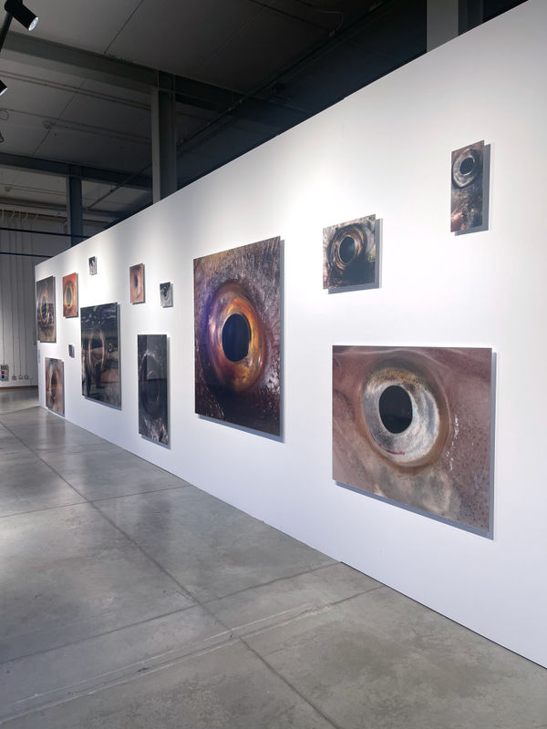 BIENALSUR 2025: Bruna Esposito, NEWS