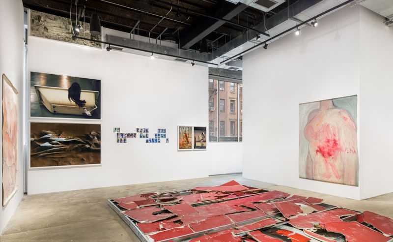 Ser Serpas, Hall Swiss Institute New York, US