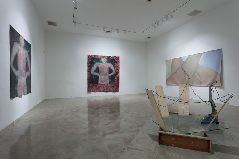 Ser Serpas, Solo Presentation The Rubell Museum, Miami, US