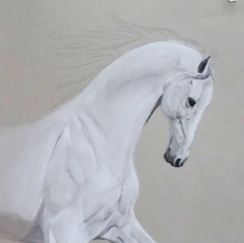 Realistic Life of Horses , High School Workshop